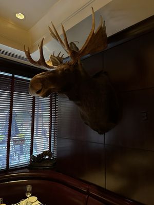 The Capital Grille by null