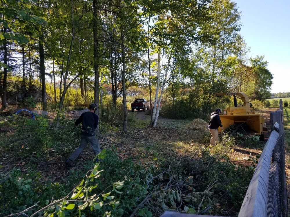 J&L Landcare - tree service in Bristol, VT