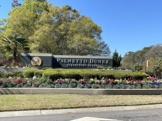 Palmetto Dunes Oceanfront Resort by null