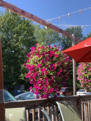 Marcella's Restaurant by null