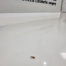 Bugs in the lobby Bugs in the lobby