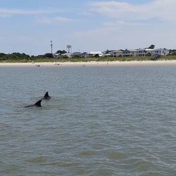 Capt. Mike's Dolphin Adventure Tour - Tours Near Me - Tybee Island, Georgia Capt. Mike's Dolphin Adventure Tour - Tours Near Me - Tybee Island, Georgia