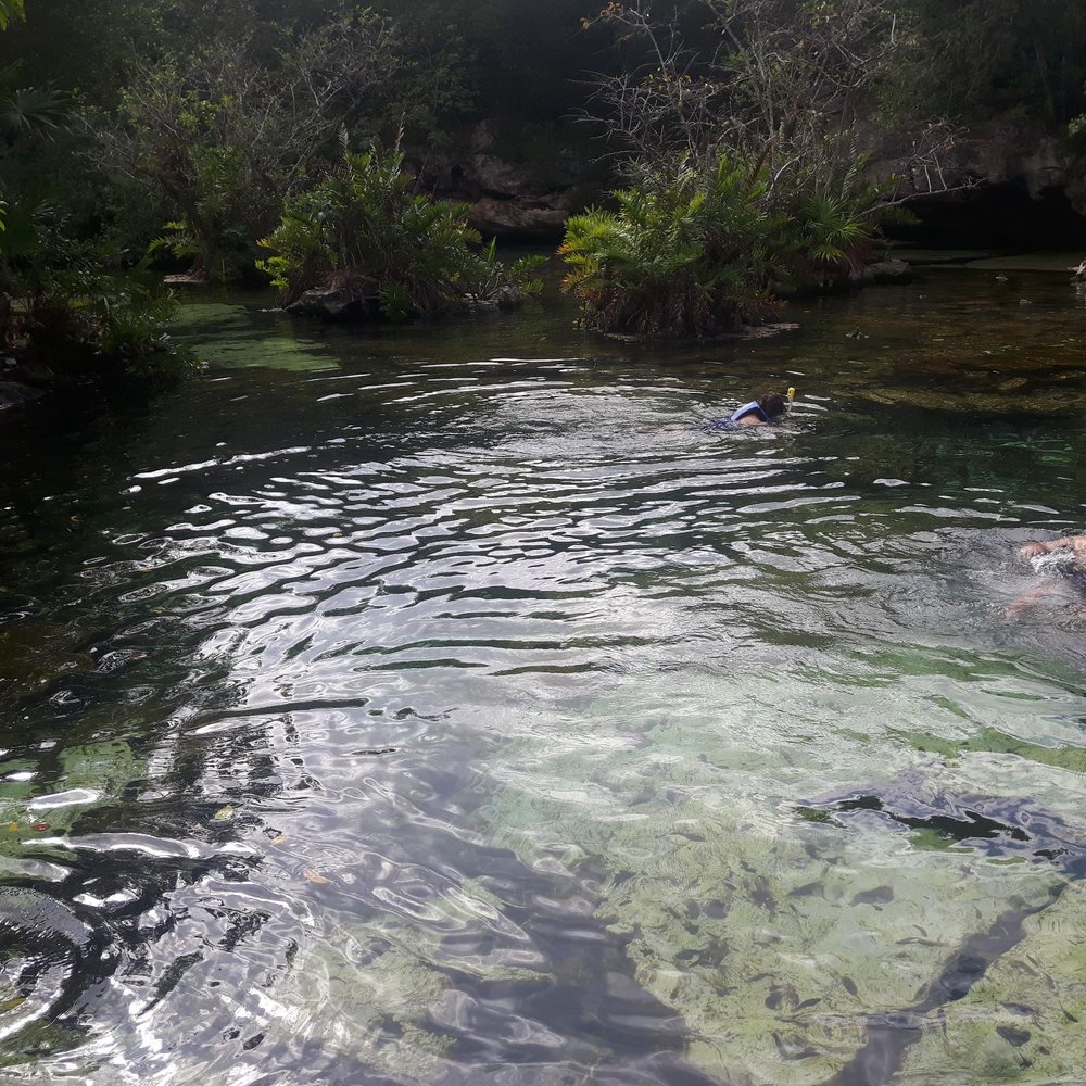 Azul Cenote - Hiking Near Me - Playa del Carmen, ROO