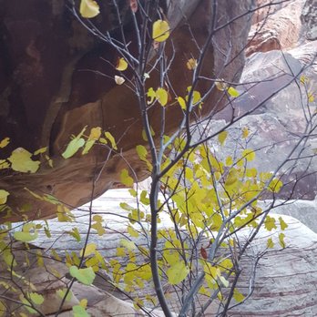 Gateway Canyon - Hiking Near Me - Las Vegas, Nevada