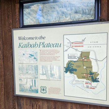 Kaibab National Forest - Information about Kaibab Plateau - Hiking Near Me - Williams, Arizona Kaibab National Forest - Information about Kaibab Plateau - Hiking Near Me - Williams, Arizona