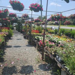 Farm Fresh Market