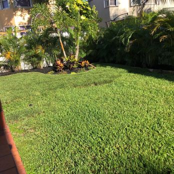 Bloom - Landscaping Near Me - Southwest Ranches, Florida