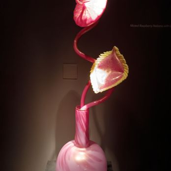 Chihuly Collection - Art Galleries Near Me - Saint Petersburg, Florida