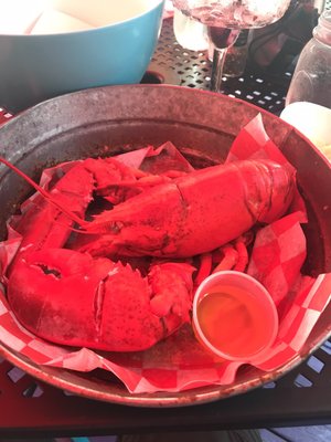 The Docksider by null