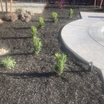 Tellez Landscapes - a picture of a garden - Landscaping Near Me