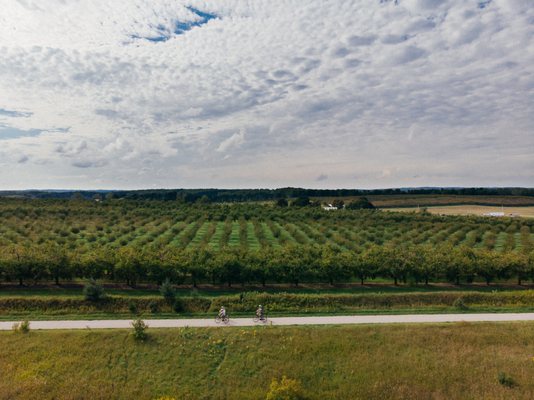 Grand Traverse Bike Tours by null