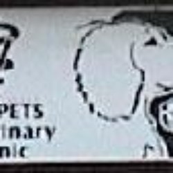 All Pets Veterinary Clinic