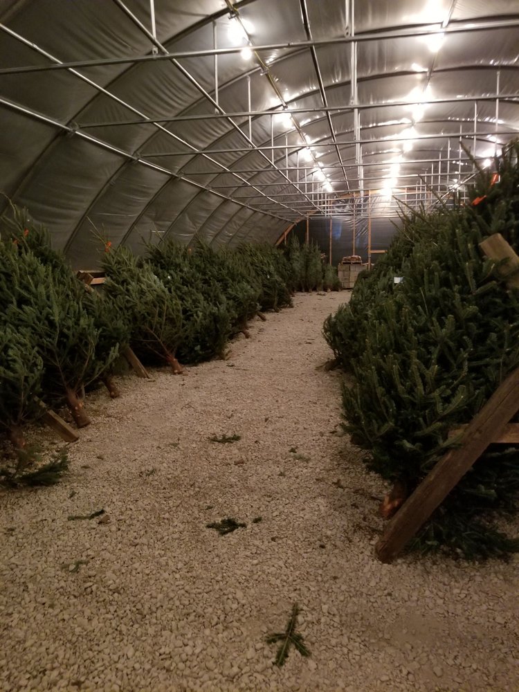 MURPHY’S CHRISTMAS TREES Updated September 2024 22W180 Army Trail