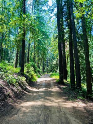 Trione-Annadel State Park by null