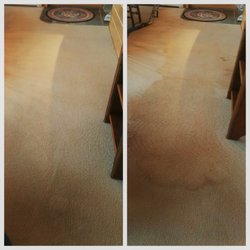 Patrick's Carpet Cleaning - Flood Damage Restoration