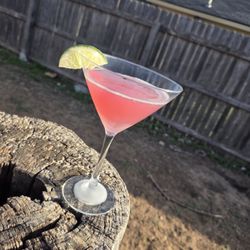 Dyar Situations Bartending