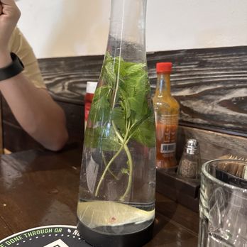 Blu Jam Café - Water that comes with the table. Mint and lemon infused was great! - New American Near Me - Los Angeles, California