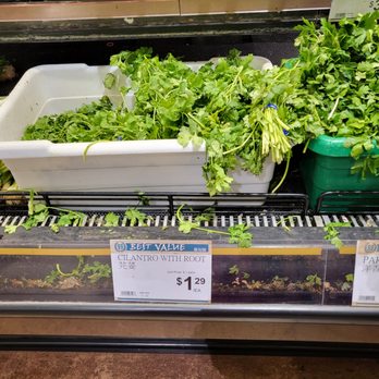 99 Ranch Market - Wilted greens. So sad This place is disgusting.  Everything is wilted and and old - Seafood Markets Near Me - Edison, New Jersey