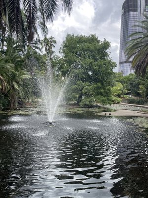 City Botanic Gardens by null