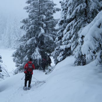 Mirror Lake Trail - Snowshoeing on the trail in the winter is a popular activity. - Parks Near Me - Zigzag, Oregon