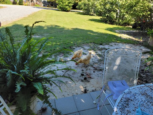 A Secret Garden Winery by null