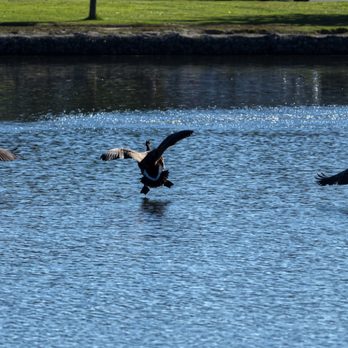 El Estero Park - Parks Near Me - Monterey, California El Estero Park - Parks Near Me - Monterey, California