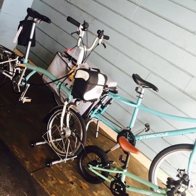 Village Faire by null