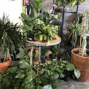 Evergreen Nursery - Nurseries & Gardening Near Me - San Leandro, California Evergreen Nursery - Nurseries & Gardening Near Me - San Leandro, California