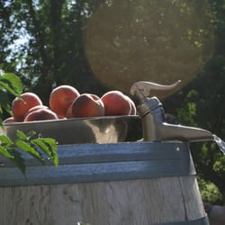 Dreamcatcher Bed & Breakfast