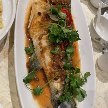 Koi Palace - Sea bass - Dim Sum Near Me - Dublin, California Koi Palace - Sea bass - Dim Sum Near Me - Dublin, California