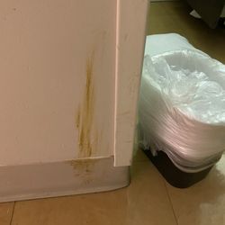 ManorCare Health Services - Fair Oaks - Excrement on the wall of my father's room. I told the nurses about it and they shrugged, so I cleaned it up myself.