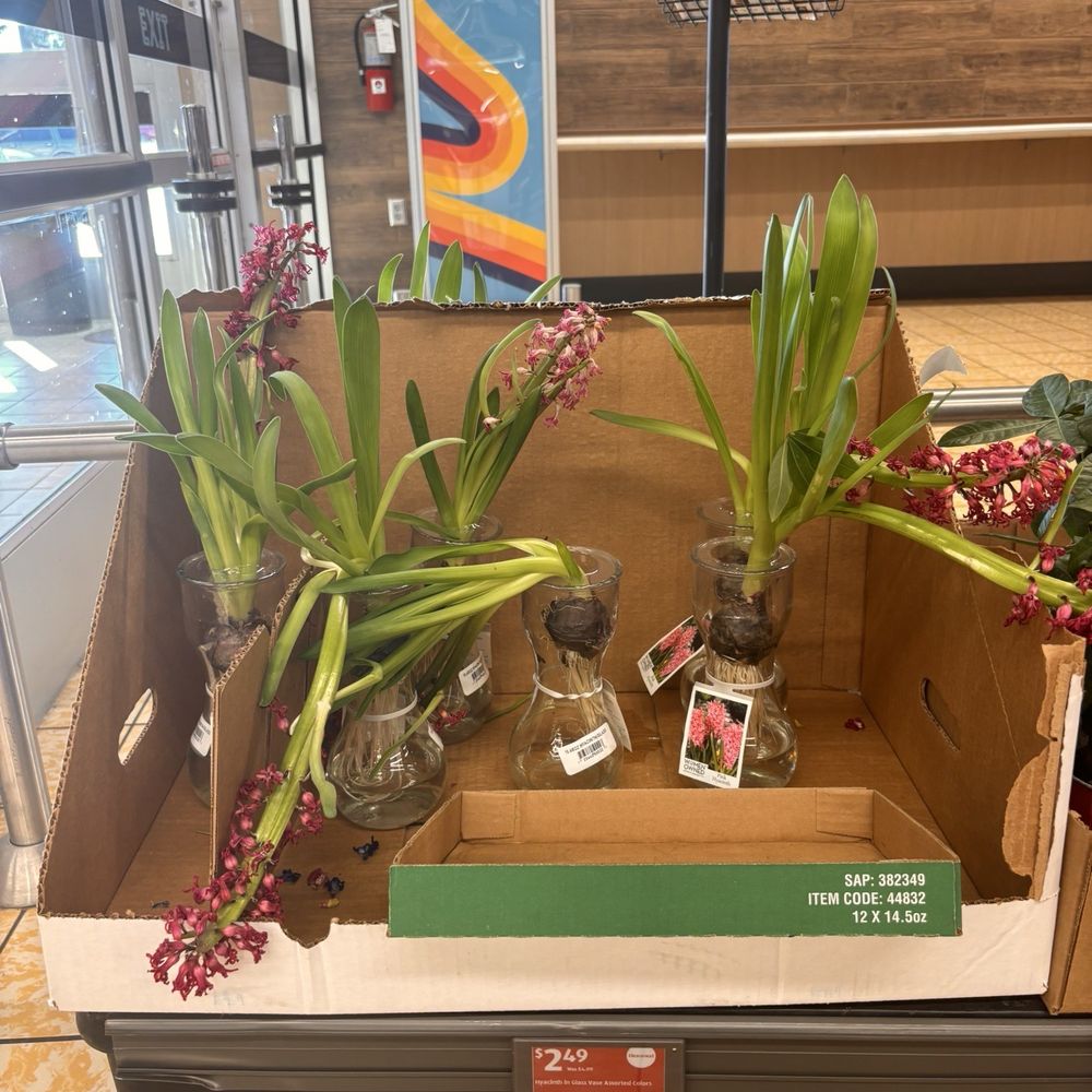 ALDI - Grocery Near Me - St. Petersburg, Florida
