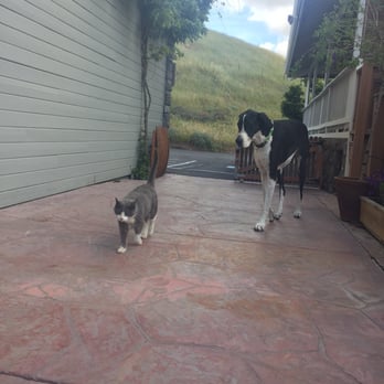 Big Dog Vineyards - Socks and Daisy - Venues & Event Spaces Near Me - Milpitas, California