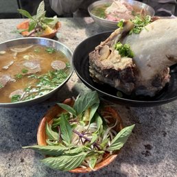 Bone marrow pho