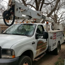 Affordable Tree & Stump Removal - Bucket truck...