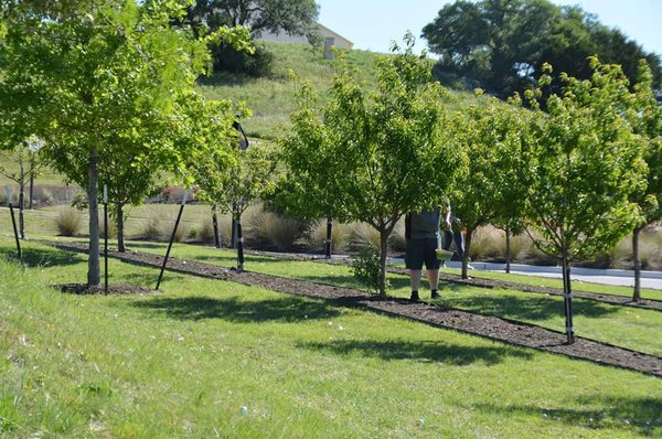 Orchard Ridge Community, Texas by null