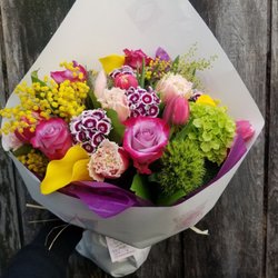 Sol Ambiance - What a cute bunch!