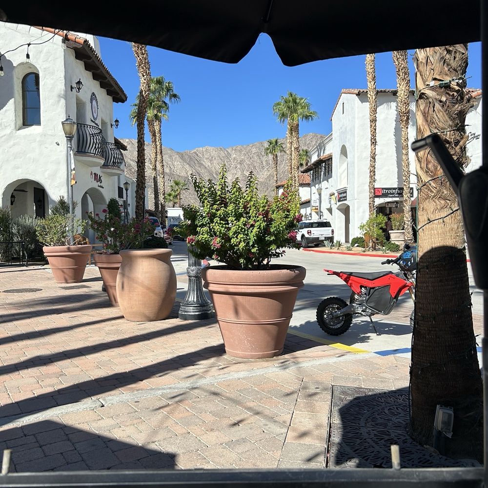 View from the patio