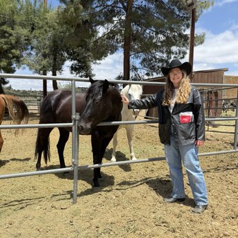 Saddle Up Wine Tours - Horseback Riding Near Me - Aguanga, California Saddle Up Wine Tours - Horseback Riding Near Me - Aguanga, California