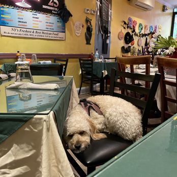 MAMASITA BAR & GRILL - Updated December 2024 - 1114 Photos & 1764 Reviews - 818 10th Ave, New