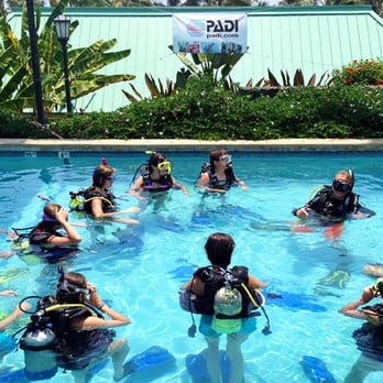 The Wild Traveler - Learning how to SCUBA dive in Hawaii. No experience required! - Tours Near Me The Wild Traveler - Learning how to SCUBA dive in Hawaii. No experience required! - Tours Near Me