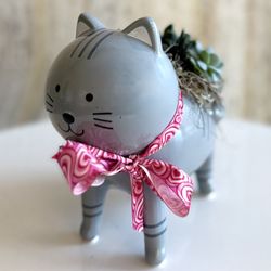 Shoots and Blooms of D.C - Succulent cat planter