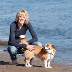 Hundeschule Elbrudel