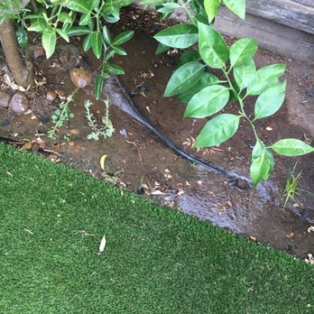 Artificial Turf By Fenix - Artificial Turf Near Me - Rocklin, California Artificial Turf By Fenix - Artificial Turf Near Me - Rocklin, California