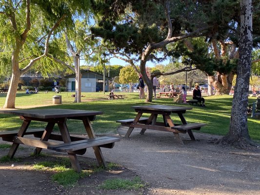 Douglas Park by null