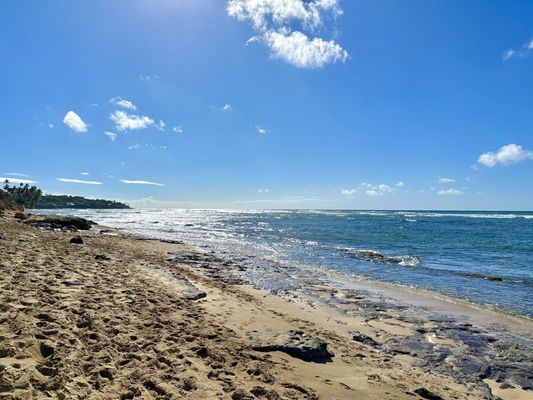 Diamond Head Beach Park by null