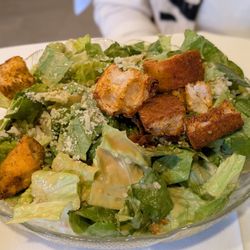 Cucciolo Famiglia - Cesar salad
