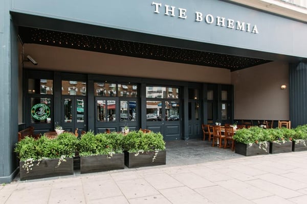 The Bohemia by null
