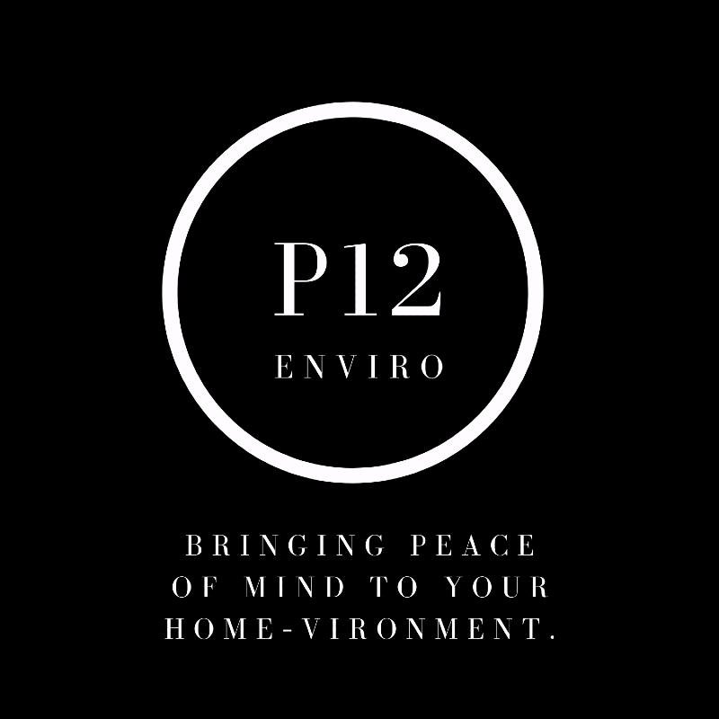 P12 Enviro - mold inspector in Lafayette, LA