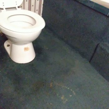 Mike's Expert Drain & Plumbing - Here is my floor after they pulled the toilet up and didn't drain the water out before doing so. - Plumbing Near Me - Jonesborough, Tennessee Mike's Expert Drain & Plumbing - Here is my floor after they pulled the toilet up and didn't drain the water out before doing so. - Plumbing Near Me - Jonesborough, Tennessee